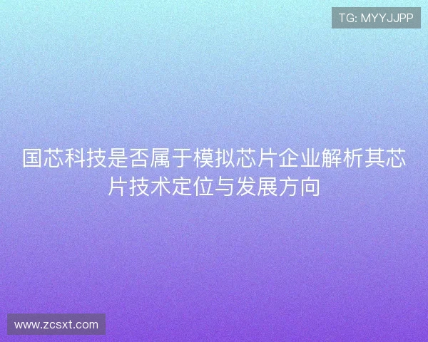 国芯科技是否属于模拟芯片企业解析其芯片技术定位与发展方向
